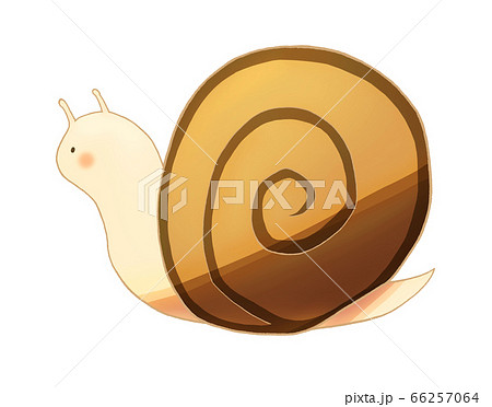 カタツムリのイラスト くっきり のイラスト素材 カタツムリのイラスト くっきり のイラスト素材