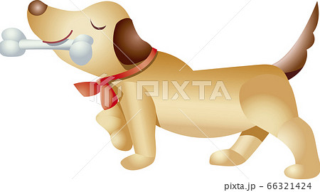 犬 骨 イヌ ホネのイラスト素材 Pixta