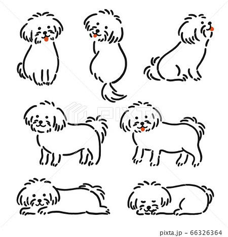 ペット ふせ 犬のイラスト素材