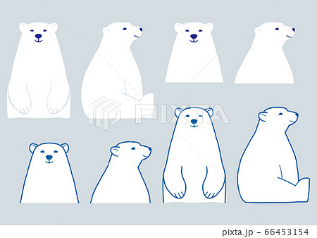 ホッキョクグマ 白熊 クマ 哺乳類のイラスト素材