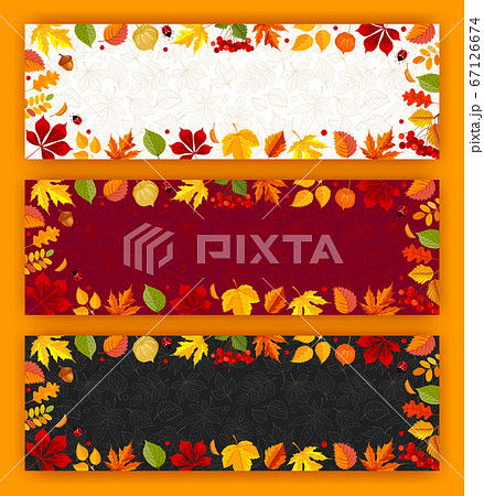 招待券のイラスト素材