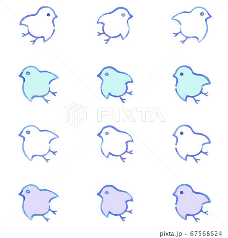 千鳥 鳥のイラスト素材