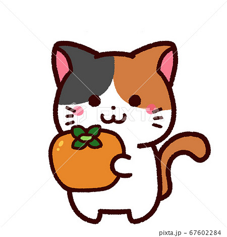 柿 猫 かわいい 三毛猫のイラスト素材