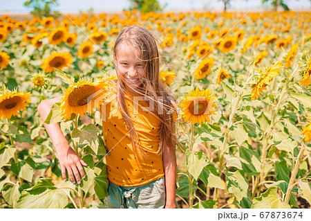 ひまわり畑 女の子 向日葵 子供の写真素材