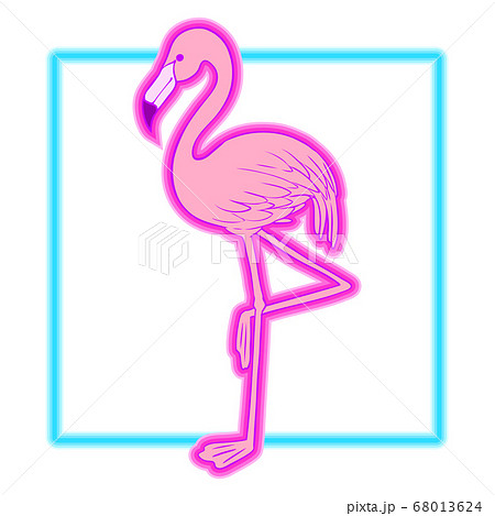 Flamingo Pink Flamingo Illustrations