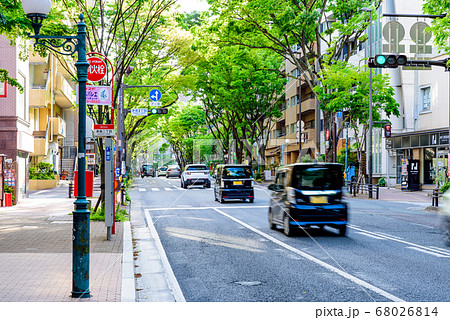 福岡けやき通りの写真素材