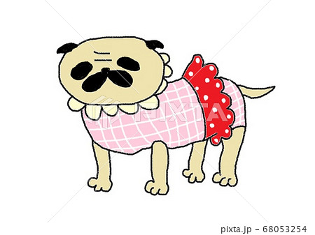 ダサいのイラスト素材