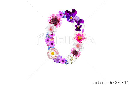 數字花朵花花卉照片素材