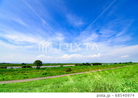 風景 河川敷 土手 青空と木の写真素材