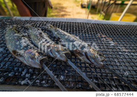 川魚 アマゴ イワナ 炭火 バーベキューの写真素材