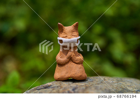 拝み猫の写真素材