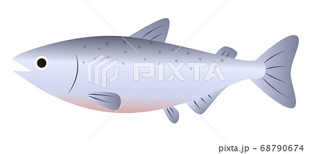 秋鮭のイラスト素材
