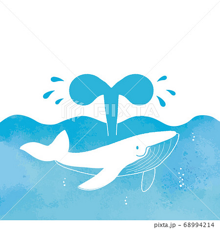 クジラ かわいい イラスト 動物の写真素材 Pixta