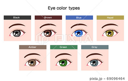 瞳孔のイラスト素材