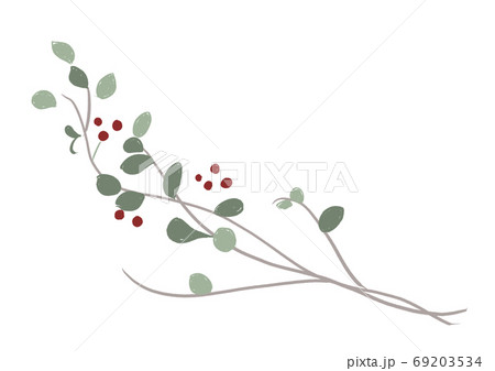 つる つた 蔓 蔦 のpng素材集 ピクスタ
