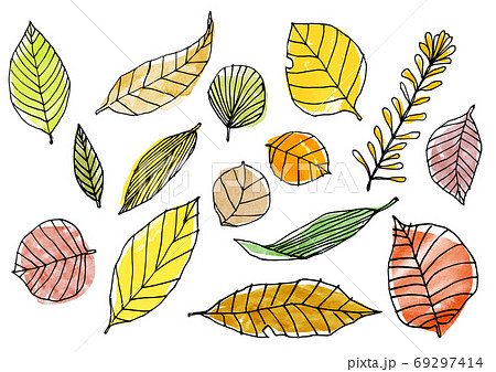 葉 ペン画 手描き 線画のイラスト素材