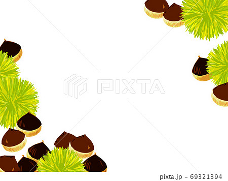 イガ 栗のイラスト素材