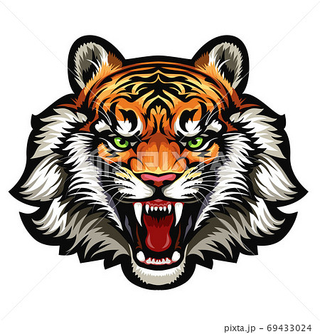 タイガー トラ 虎 吠えるのイラスト素材