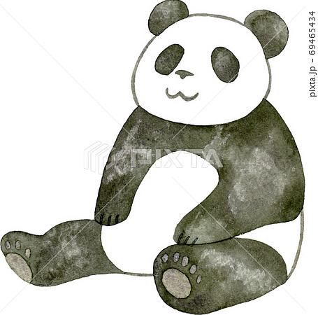 パンダ 動物 ジャイアントパンダ 哺乳類のイラスト素材