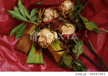 花 薔薇 枯れる 朽ちるの写真素材