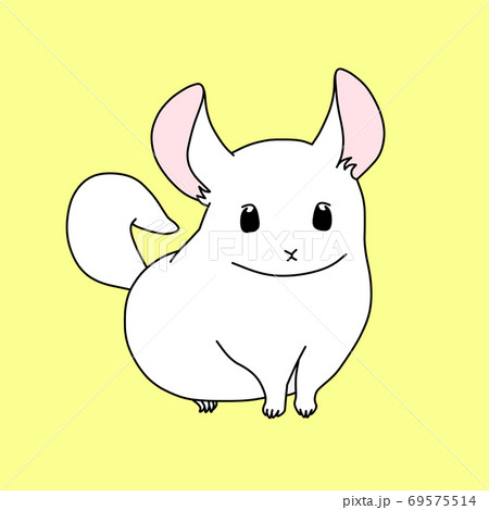 チンチラのイラスト素材集 ピクスタ