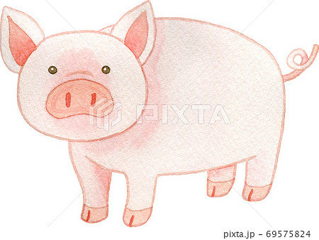 豚 動物 イラスト 手書き 可愛いの写真素材