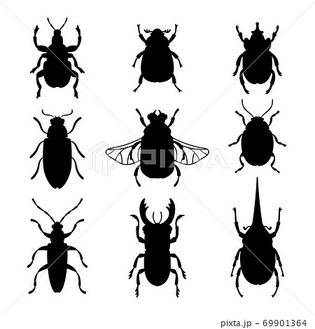 昆虫 虫 シルエット アイコンの写真素材