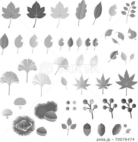 モノクロ 白黒 屋外 葉っぱのイラスト素材