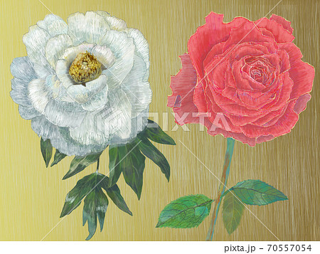花 牡丹 薔薇 リアルタッチのイラスト素材 - PIXTA