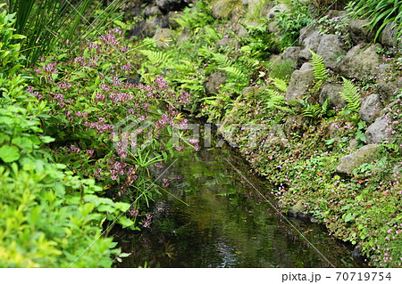 世田谷区照片素材