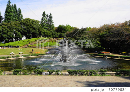 公園 噴水 世田谷公園 植物の写真素材