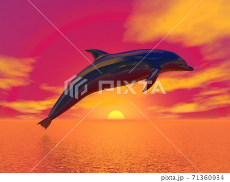 Freedom Of The Dolphin 3d Renderのイラスト素材