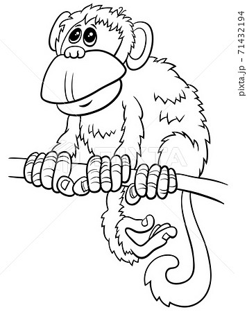 さる サル 猿 塗り絵のイラスト素材