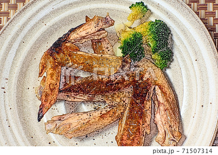 鳥の手羽先のイラスト素材