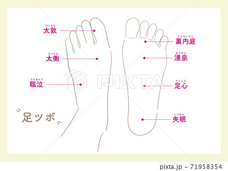 土踏まずのイラスト素材