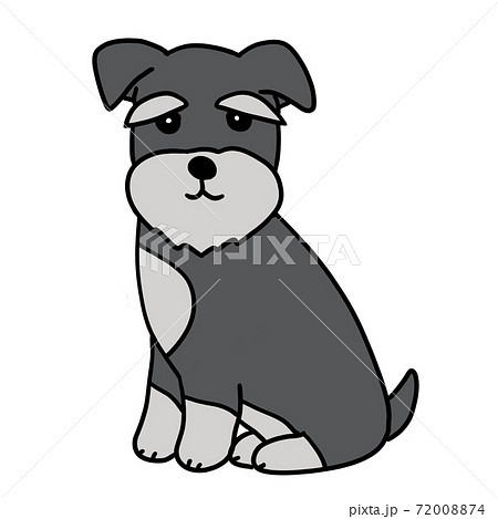 ミニチュアシュナウザーのイラスト素材