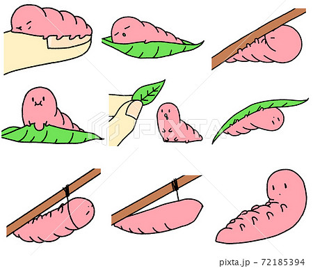 芋虫のイラスト素材