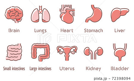 心臓のイラスト素材集 ピクスタ