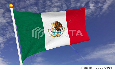 メキシコ国旗のイラスト素材