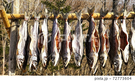 白老町ポロト湖畔に誕生した素晴らしいウポポイ