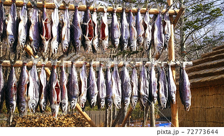 白老町ポロト湖畔に誕生した素晴らしいウポポイ