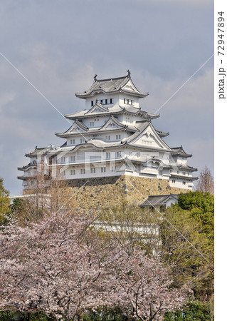 世界遺産姫路城と桜の写真素材