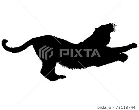 野獣のイラスト素材