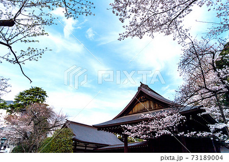 靖国神社の写真素材集 ピクスタ