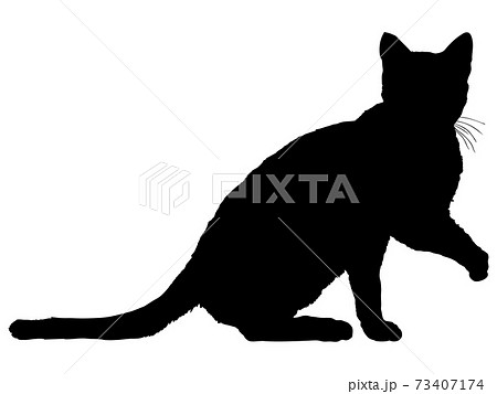 動物 猫 イラスト 正面 全身 座るのイラスト素材