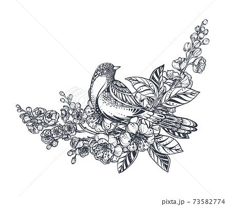 鳥 白黒 イラスト 動物の写真素材