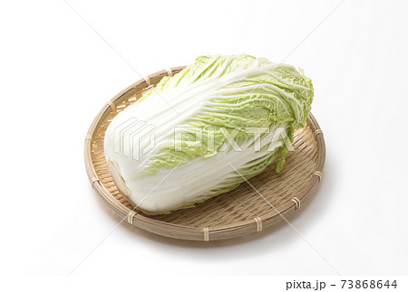 野菜 葉野菜 冬野菜 葉物の写真素材