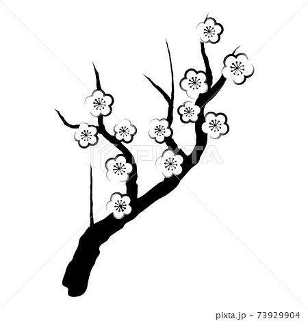 梅 イラスト 梅イラスト 白黒のイラスト素材