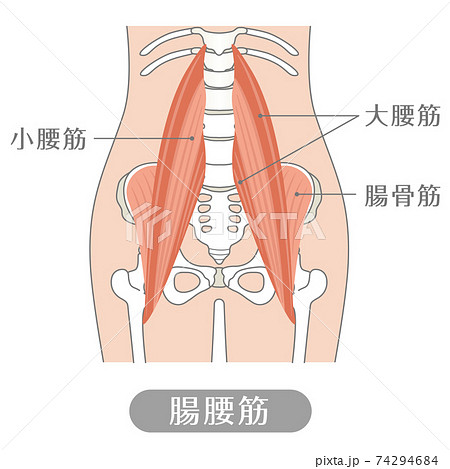 筋肉痛のイラスト素材