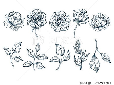 花束 ブーケ フラワーアレンジメント 線画のイラスト素材 花束 ブーケ フラワーアレンジメント 線画のイラスト素材